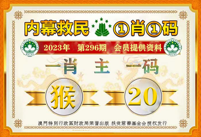 新澳2024年精准一肖一码,讲解词语解释释义