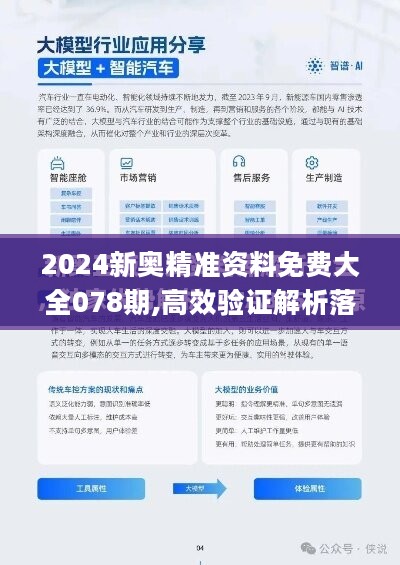 新澳2024年精准正版资料,综合研究解释落实