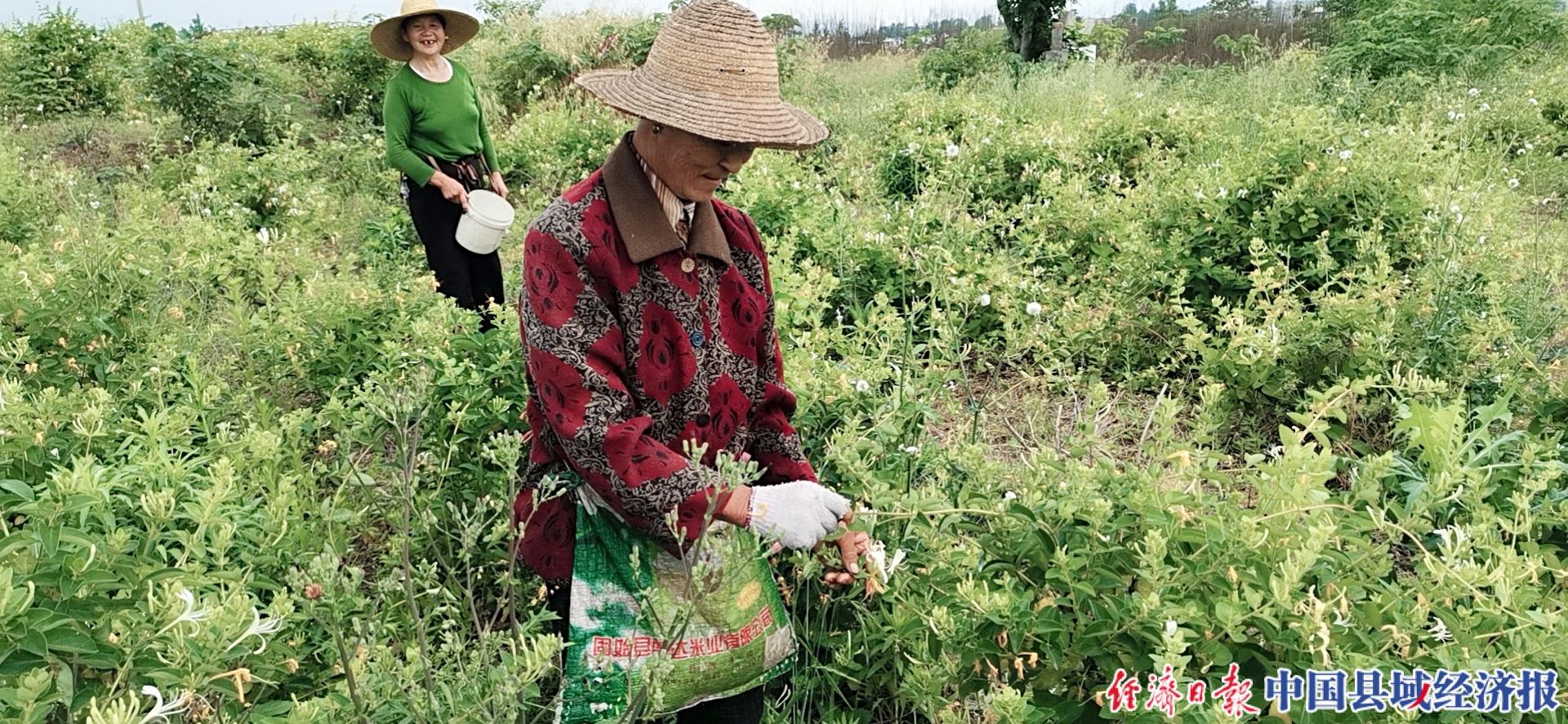 麻城最新招聘信息今天，职业发展的新天地